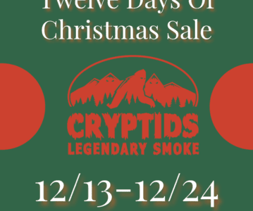 12 Days Of Christmas Sale